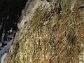 Natur 0192